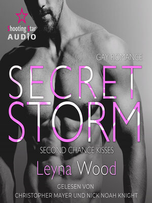 cover image of Secret Storm